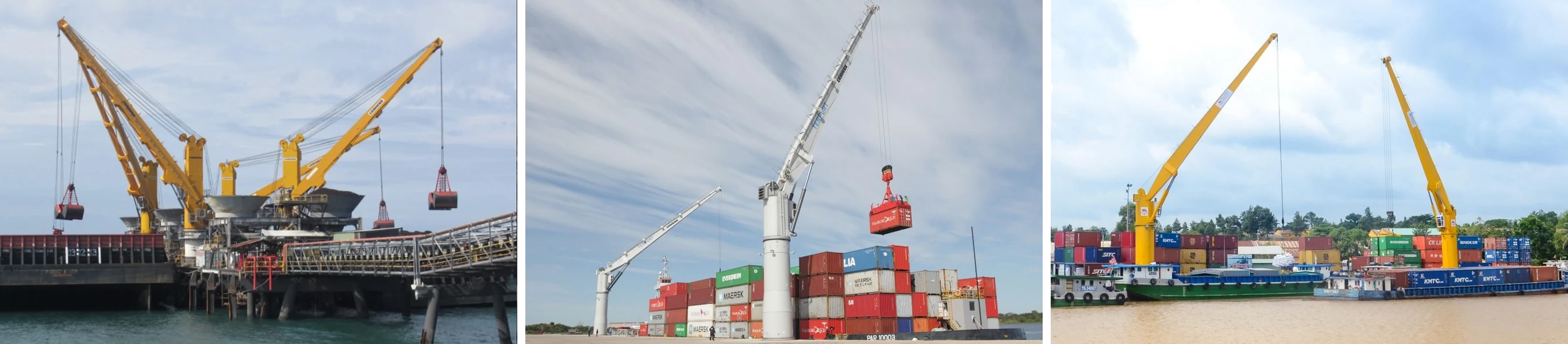 Cẩu cố định Liebherr FCC