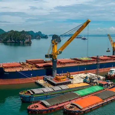Chuyển tải hàng rời cho tàu Capesize